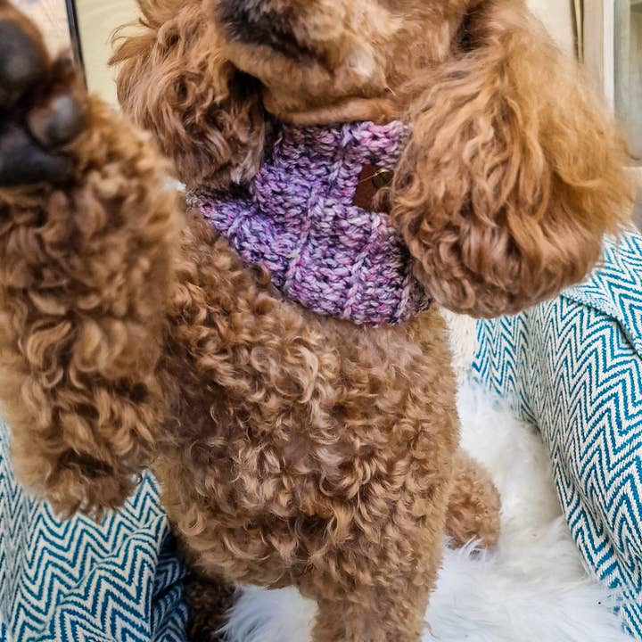 Pet Pooch Boutique - Wholesale Pet snood – Dog - Heather Bloom Roll Top Dog Knitted Snood- UK made/autumn2