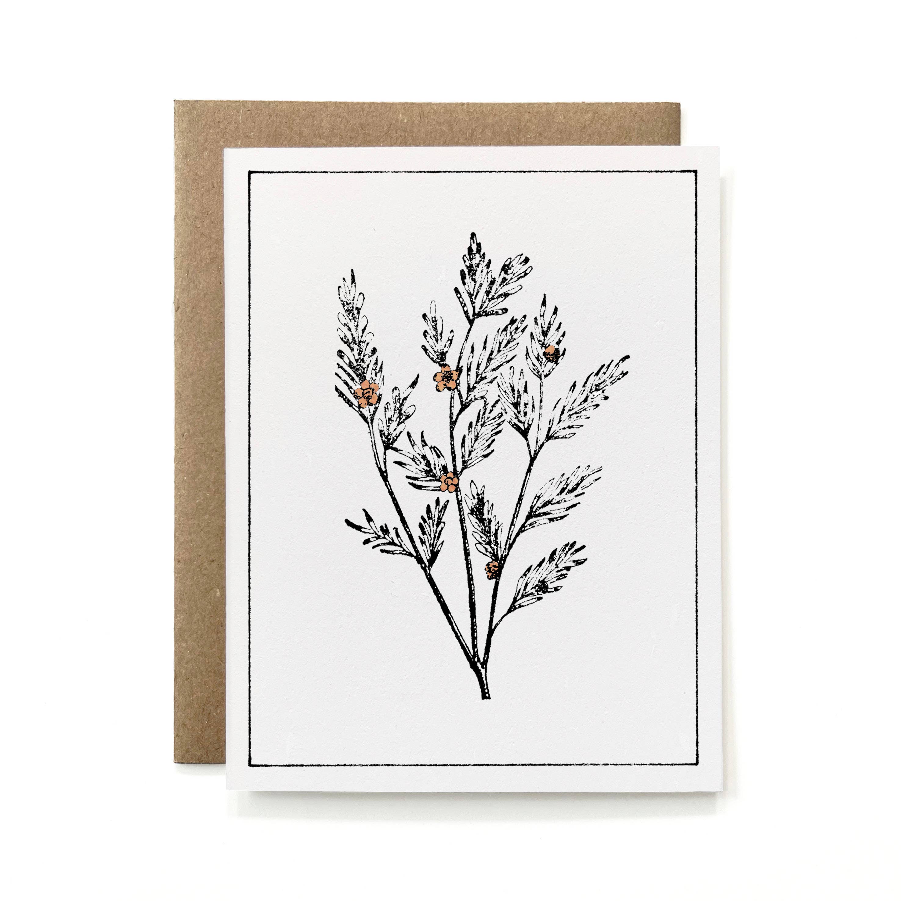 Knapping Press - Wholesale Stationery/Notecard Set - Set of 6 - 100% Recycled Painted Botanicals Card Collection4