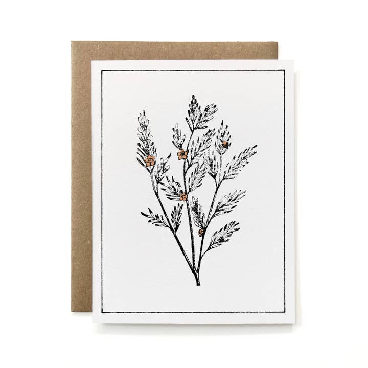 Knapping Press - Wholesale Stationery/Notecard Set - Set of 6 - 100% Recycled Painted Botanicals Card Collection4