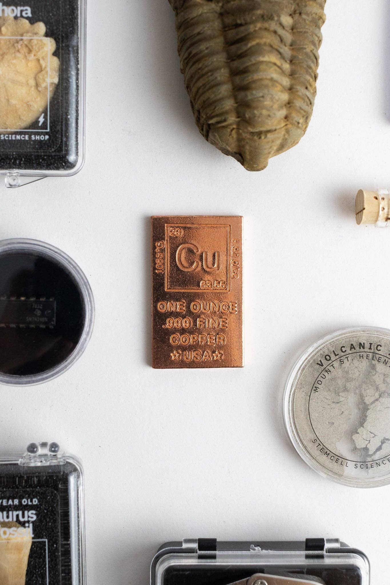 Stemcell Science Shop - Wholesale Decorative Tabletop Object - Wholesale Sample Box3