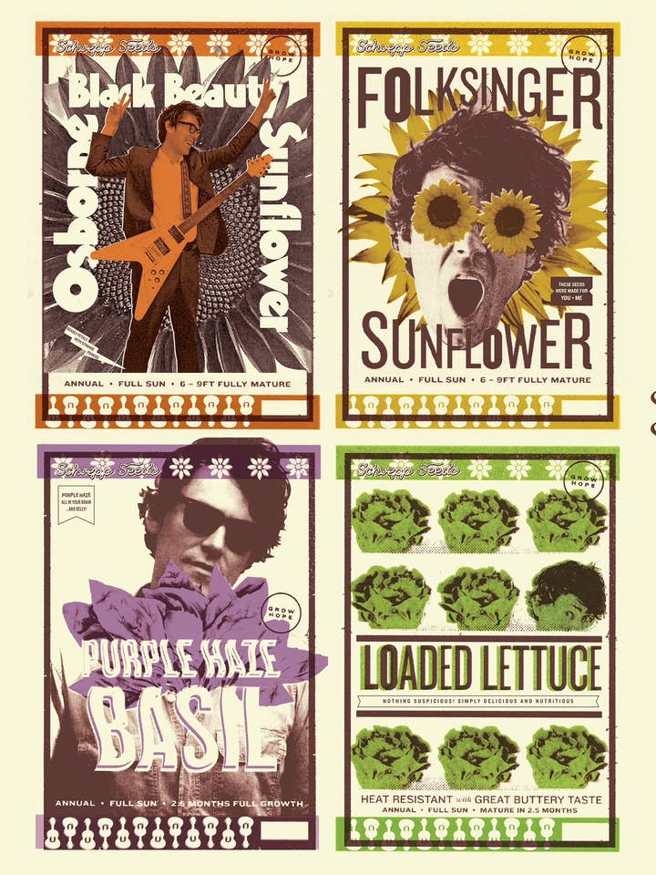 *Schoepp Seeds (Rock n Roll Line)* for wholesale by Schoepp Seeds