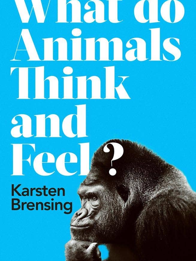 Hvad tænker og føler dyr?KK af Karsten Brensing for engroshandel hos Boon Books
