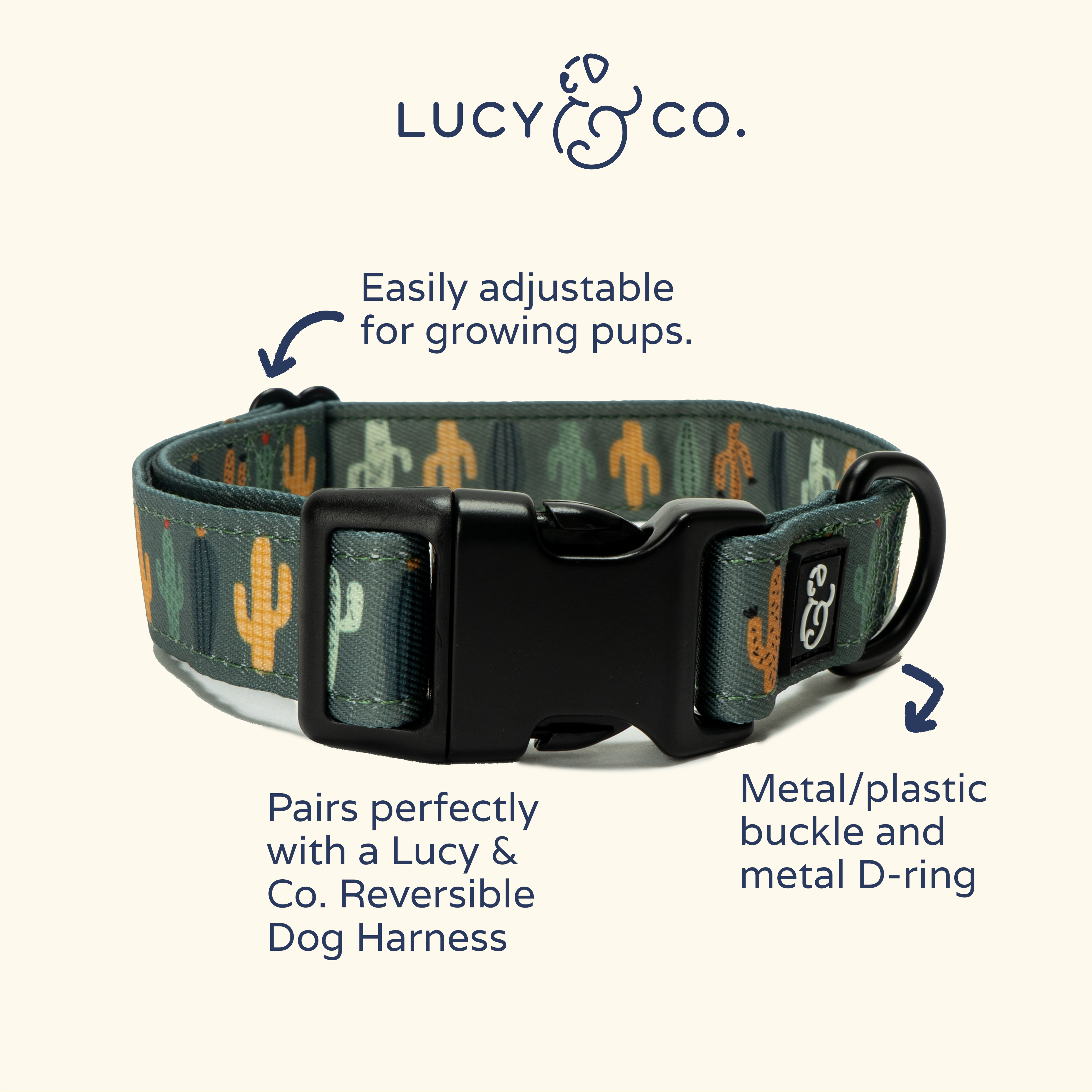Lucy & Co. - Vendita all'ingrosso Collare - Cani - Collare Looking Shar2