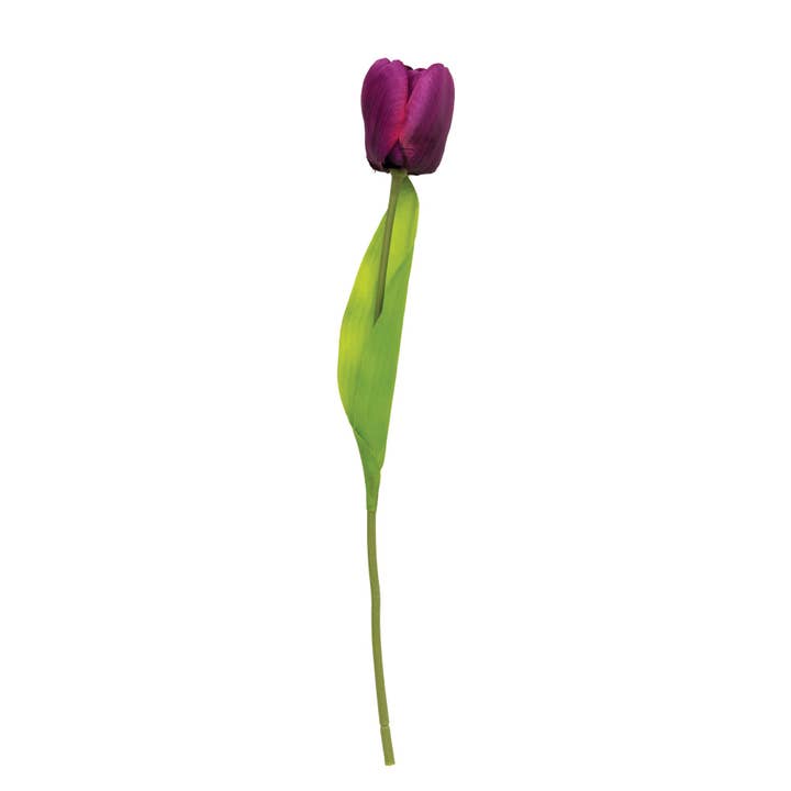 Purple Tulip Stem, 15.5" for wholesale by Col House Designs