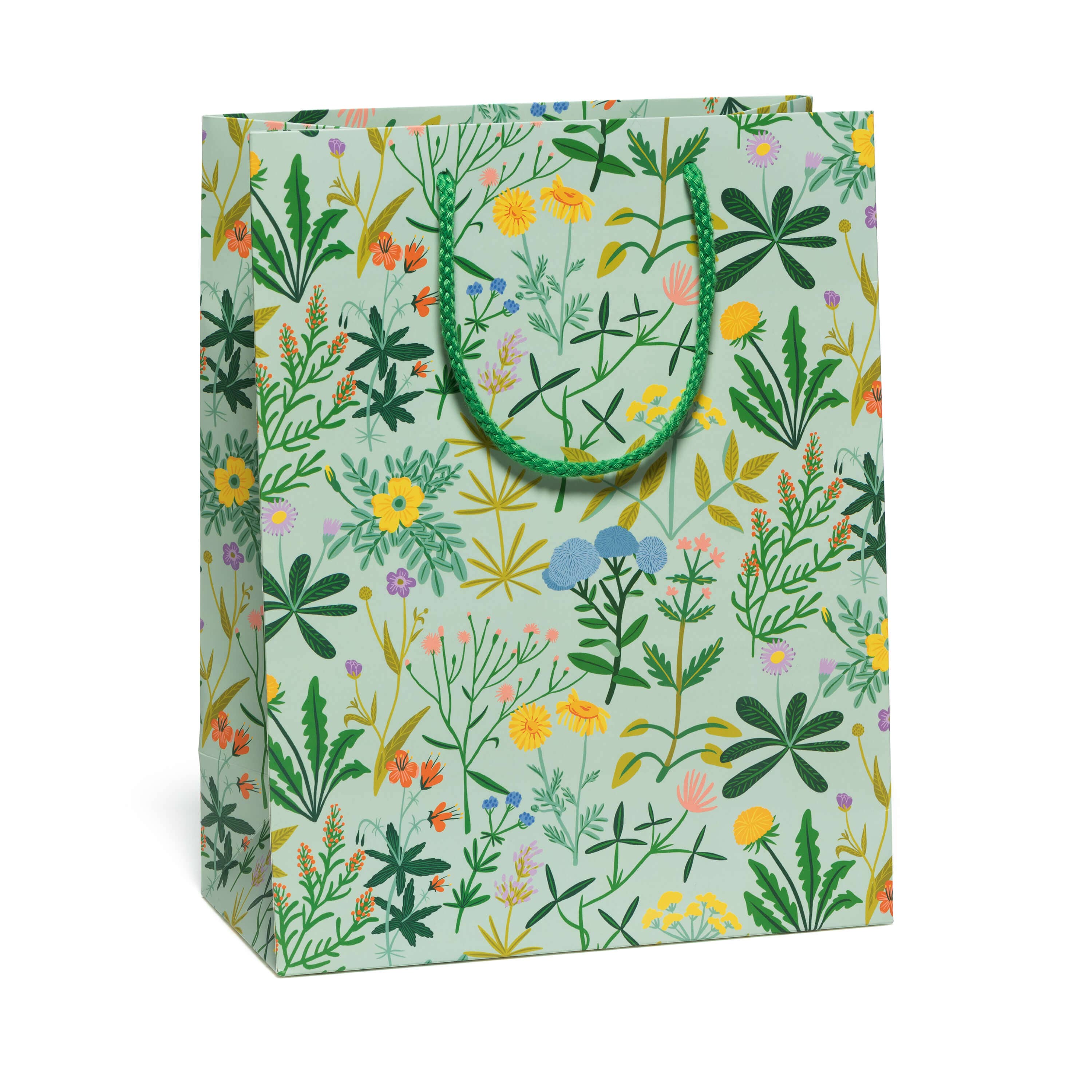 Red Cap Cards - Wholesale Gift Bag - Growing Wild gift bags3