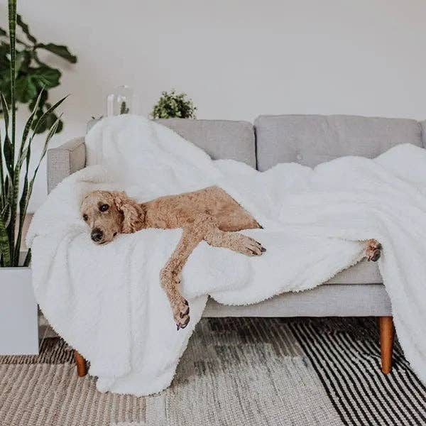 Big Blanket Co - Wholesale Bedding Blanket - Premier Plush™ Blanket75