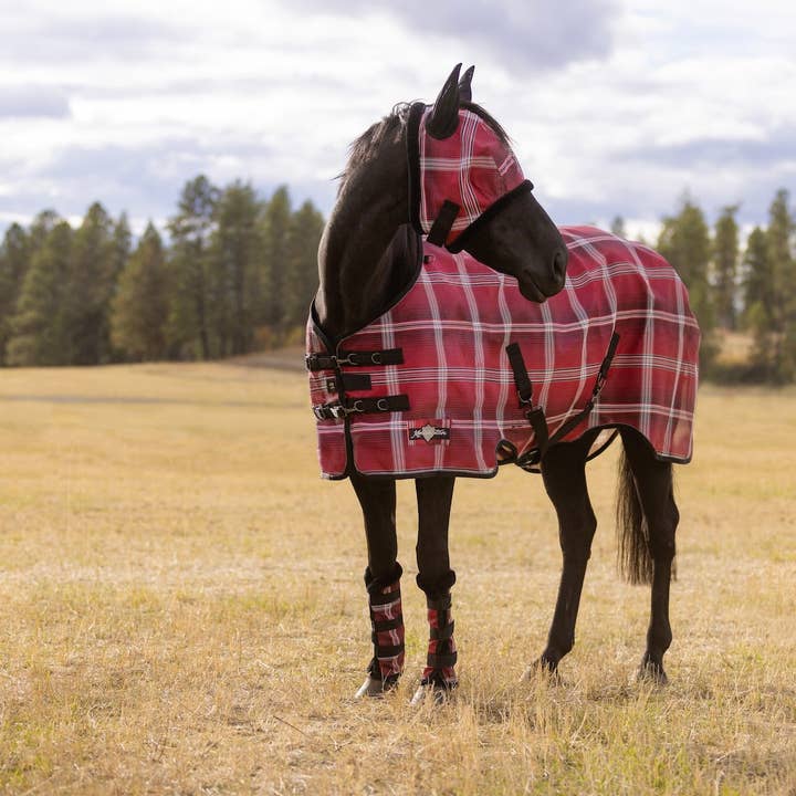 Kensington - Wholesale Horseback Riding Gear - 73% UV Horse Protective Fly Sheet SureFit® Designed for an ideal Fit9