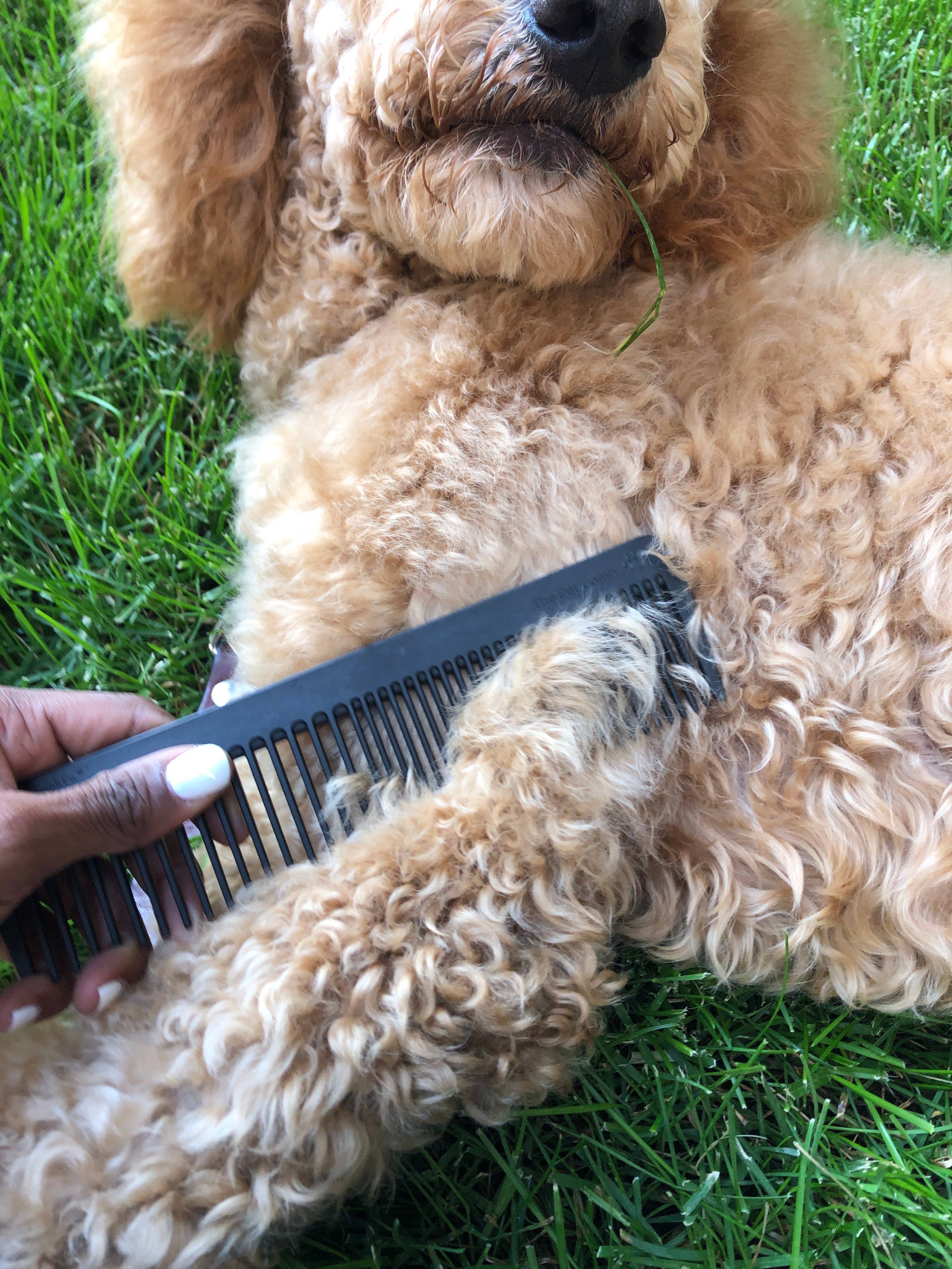 Chicago Comb Co. - Wholesale Pet Brush - Cat/Dog - The Pet Comb7