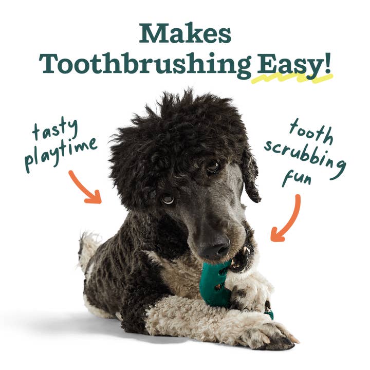 Woof - Wholesale Pet Chew Toy - Dog - The Bite n' Brush