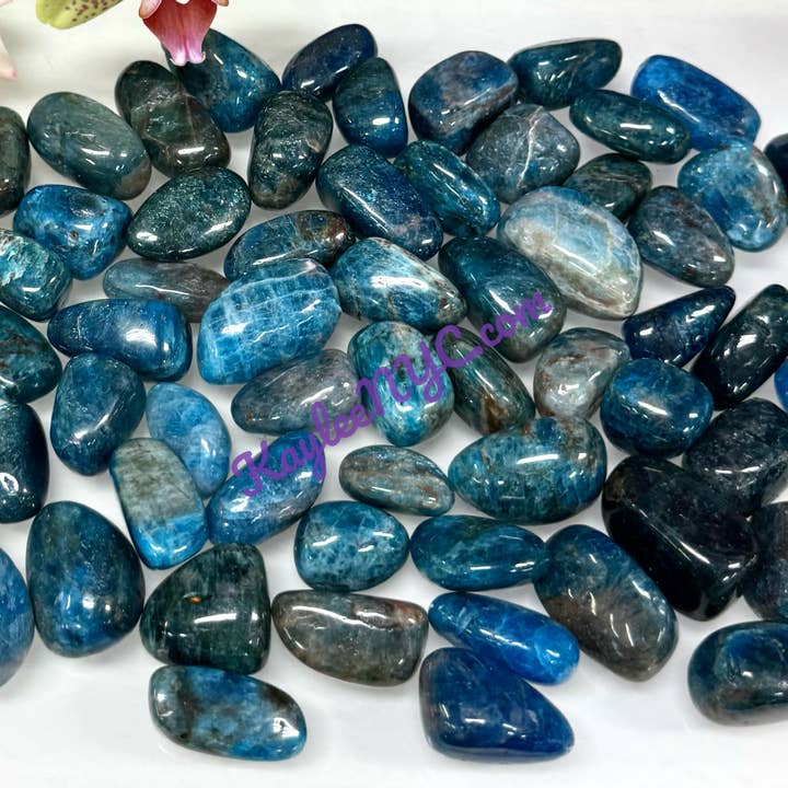 2 Lbs Natural Apatite Tumble Healing Energy for wholesale by KayleeNYC