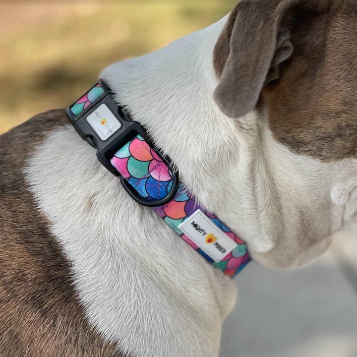 Mighty Pooch – Engroshandel Halsbånd - Hund – Mægtige Pooch komfort krave - fisk skala 🐟