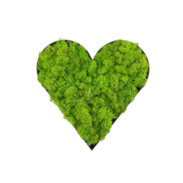 Moos Herz 20cm x 19,5cm (Wandmontage) für den Großhandel von Moosgenuss