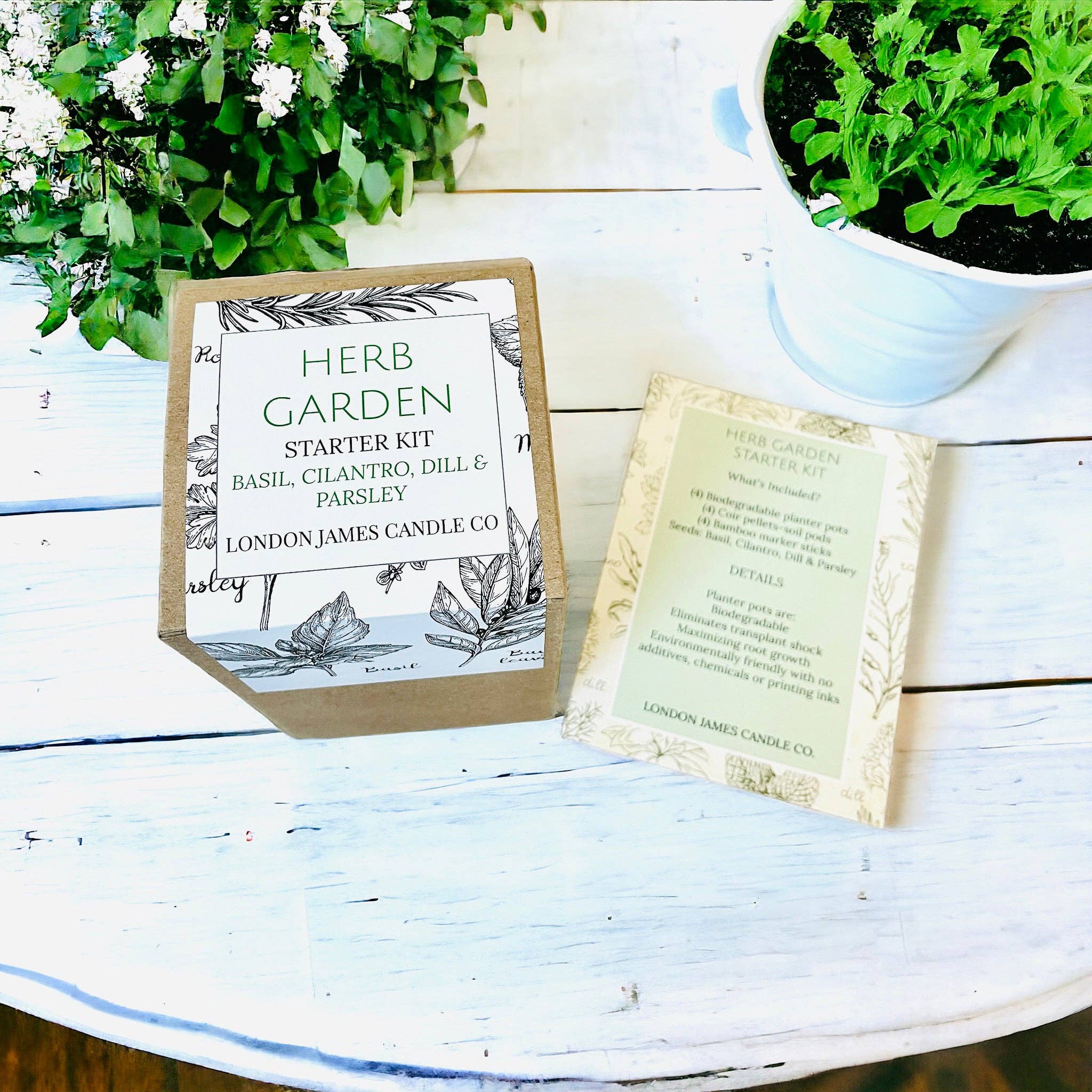 London James Candle Co - Venta al por mayor Semillas de plantas - Kit de jardinería para cultivo de hierbas DIY2