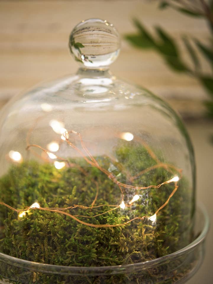 20 LED Natural Cop. Fairy Lights (Battery Op) WW/Copper Wire for wholesale by Perfect Holiday