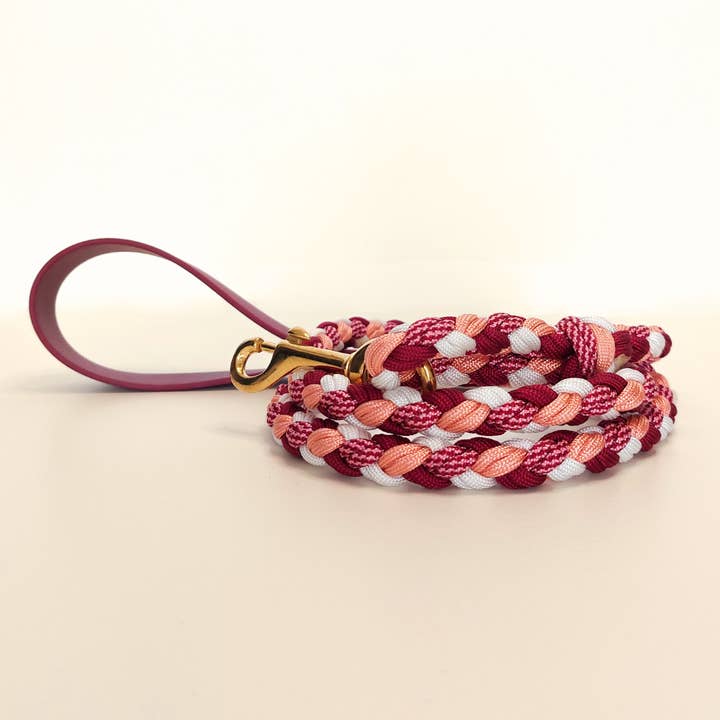 Truffe & Flair - Wholesale Pet Leash - Dog - Braided dog leash - Biothane/Paracord - Raspberry1