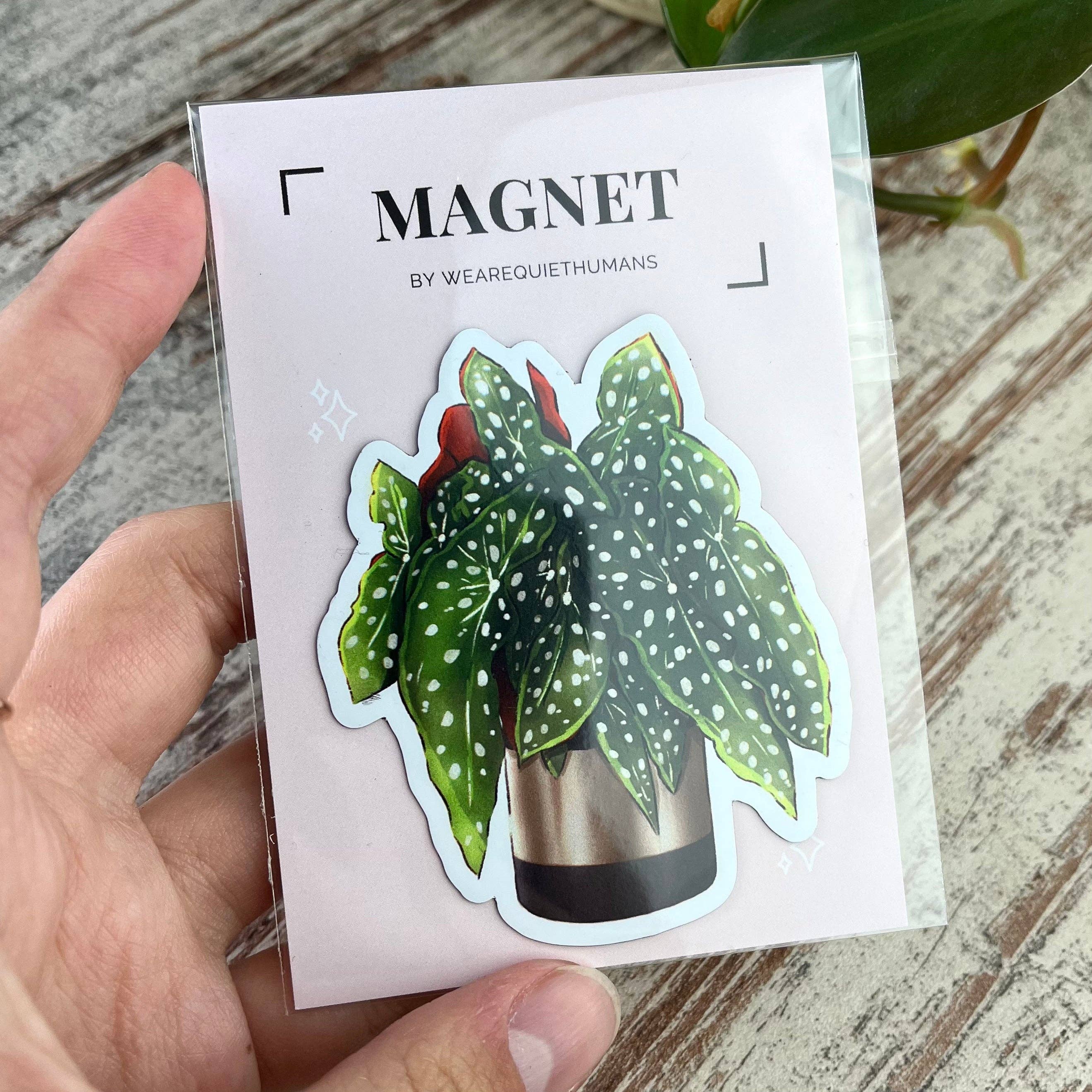 plantyintroverts - Wholesale Magnet - Magnet - Begonia Maculata in Pot, Plantmom, Plantlover4
