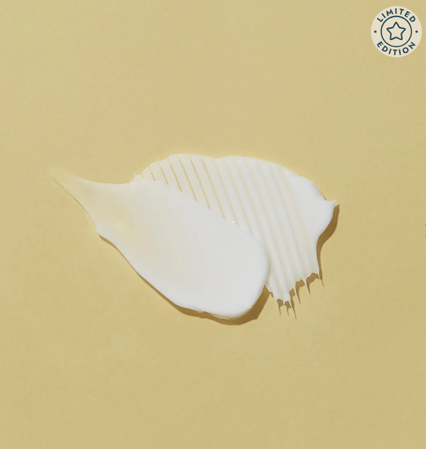 VOESH New York - Wholesale Hand & Body Lotion - Vegan Hand & Body Creme - Pumpkin Pie 1.5oz *Limited Ed.* 2