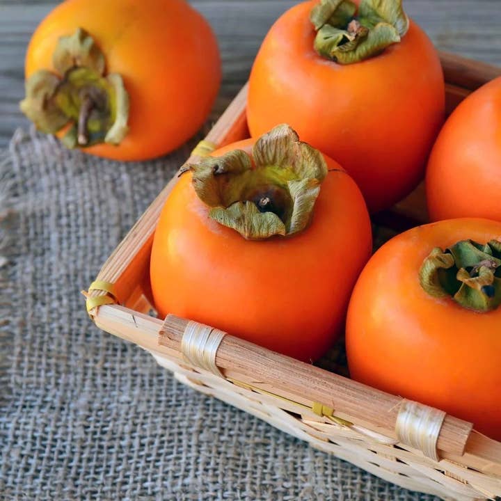 Soap Farmacy - Wholesale Bar Soap - Tallow + Persimmon Soap2