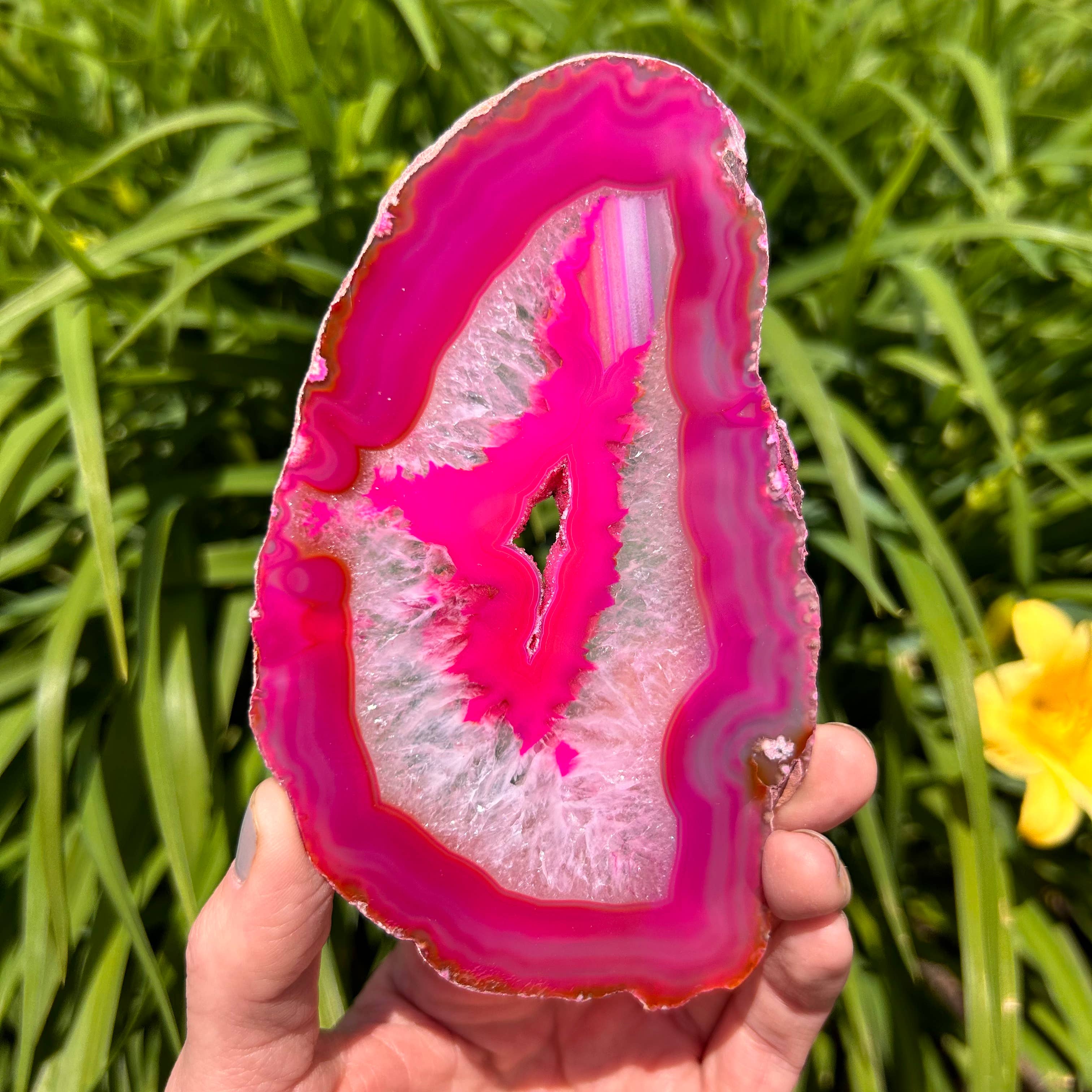 Quasar Gems USA - Vendita all'ingrosso Pietra/cristallo spirituale - Fette di Agata colorate15