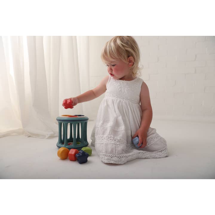 Speedy Monkey - Wholesale Toy Set - Kids - Rolling Shape Sorter - TOLO