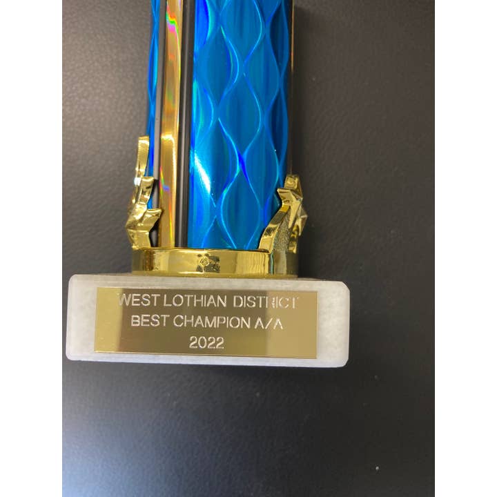 Olde Engraver - Wholesale Plaque - Personalised Trophy Engraving Plate 50mm x 15mm6