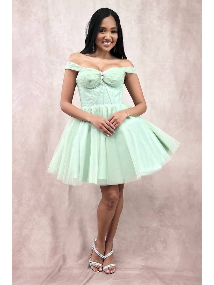Chicas - Wholesale Dress - Women's - Short Off The Shoulder Tulle Dress With Brooch2