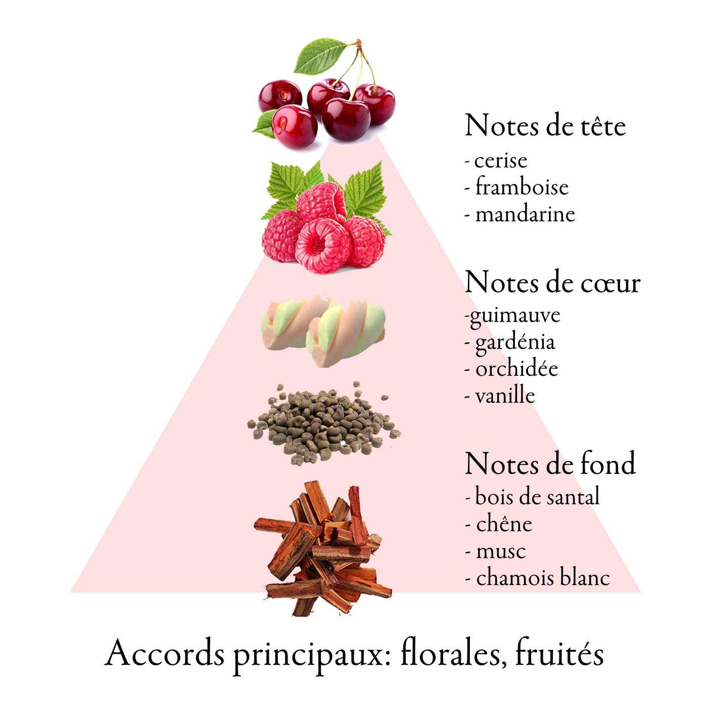 FAMILLE GRASSE PARFUMS - Wholesale Perfume/Eau de Toilette - PETITE CERISE eau de parfum for women 50ml3