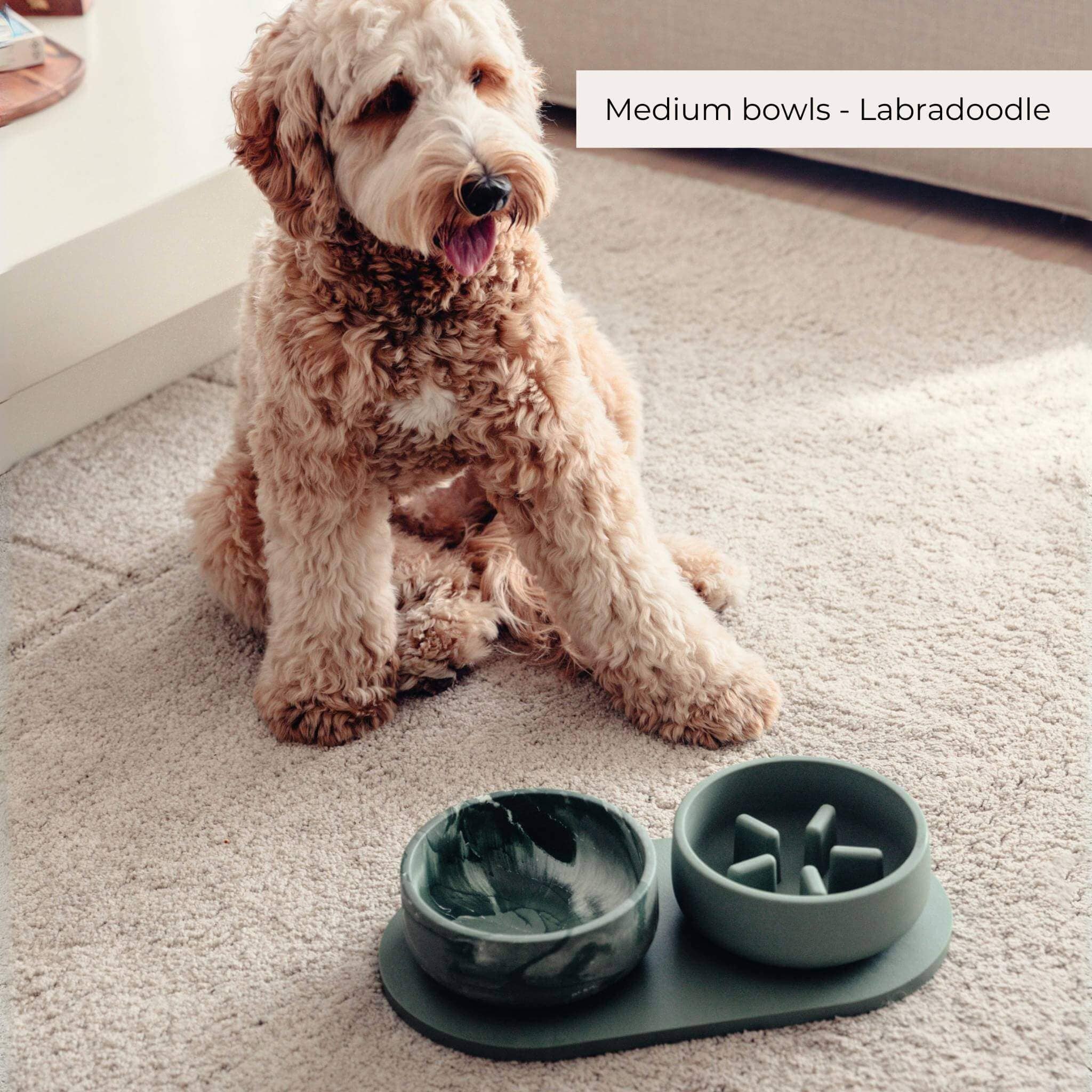 PINO - Wholesale Pet Bowl - Dog - Slow Feeder Bowls - 2024 Collection20