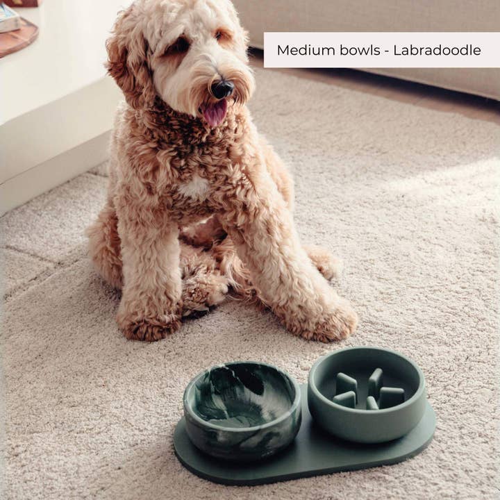 PINO – Großhandel Futternapf – Hund – Langsamfutterschalen - Kollektion 202420