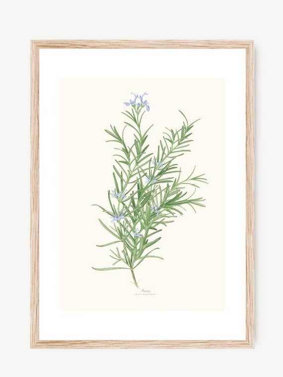 ROMERO Decorative Film for wholesale by Save the date projects