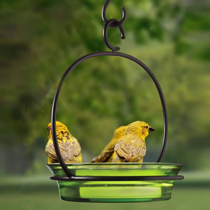 Couronne Co. - Wholesale Bird Feeder - Mosaic Birds Cuban Hanging Bird Bath Or Feeder Lime3