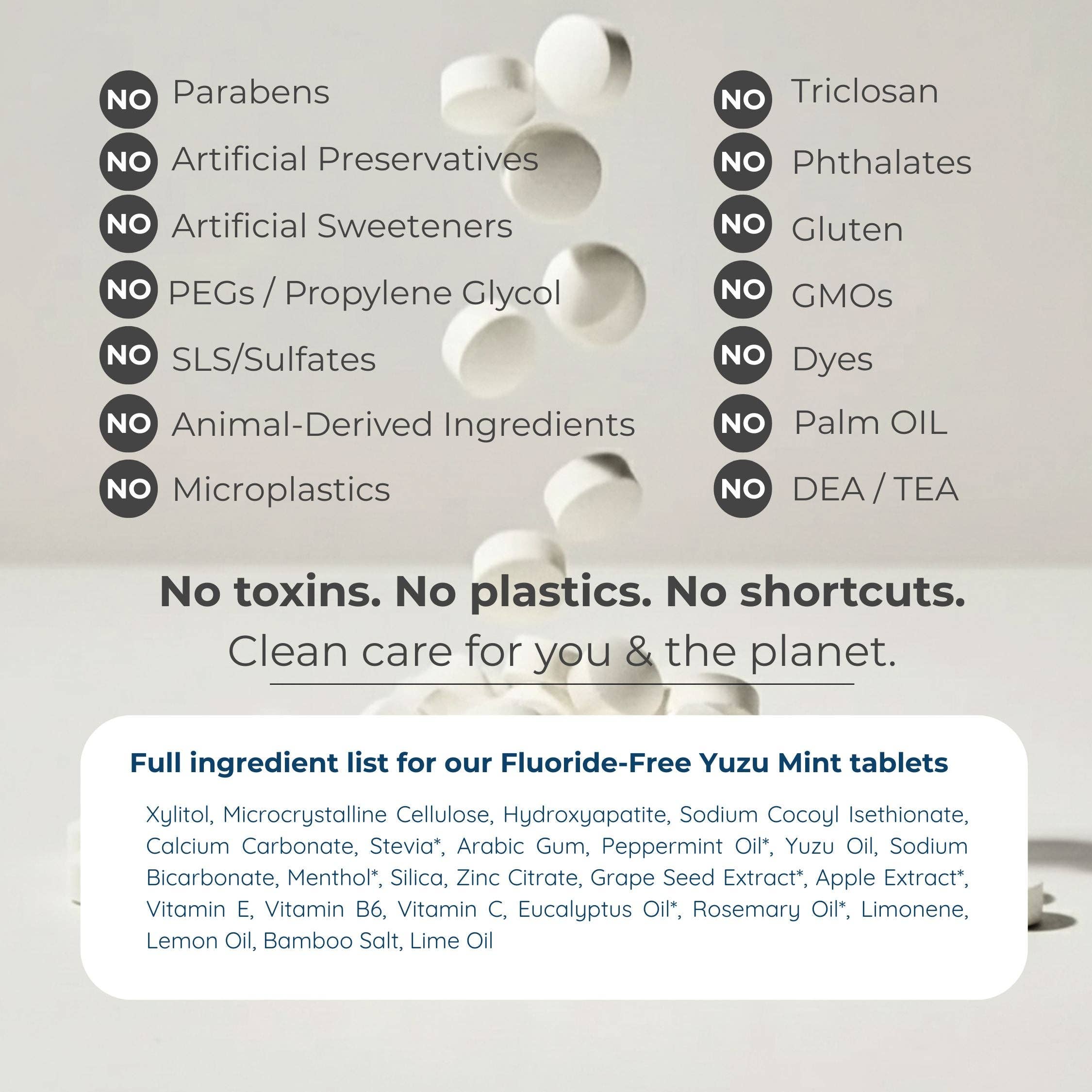 Tidalove - Wholesale Toothpaste - Fluoride-Free Toothpaste Tablets –  62ct Refill Pouch (Case of 30)1