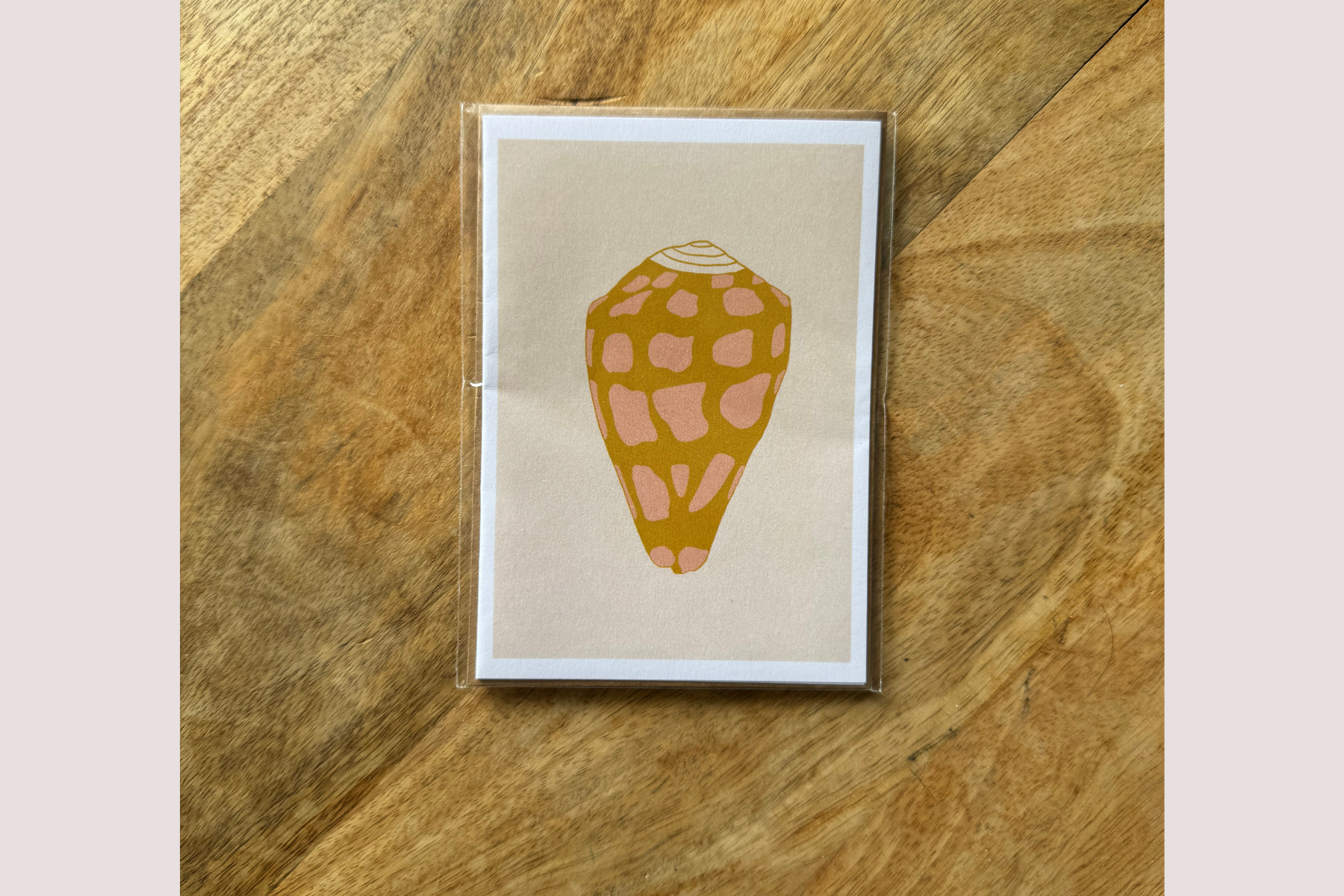 Sierra Rehrer Designs - Wholesale Everyday Greeting Card - Hebrew Cone Shell Greeting Card3