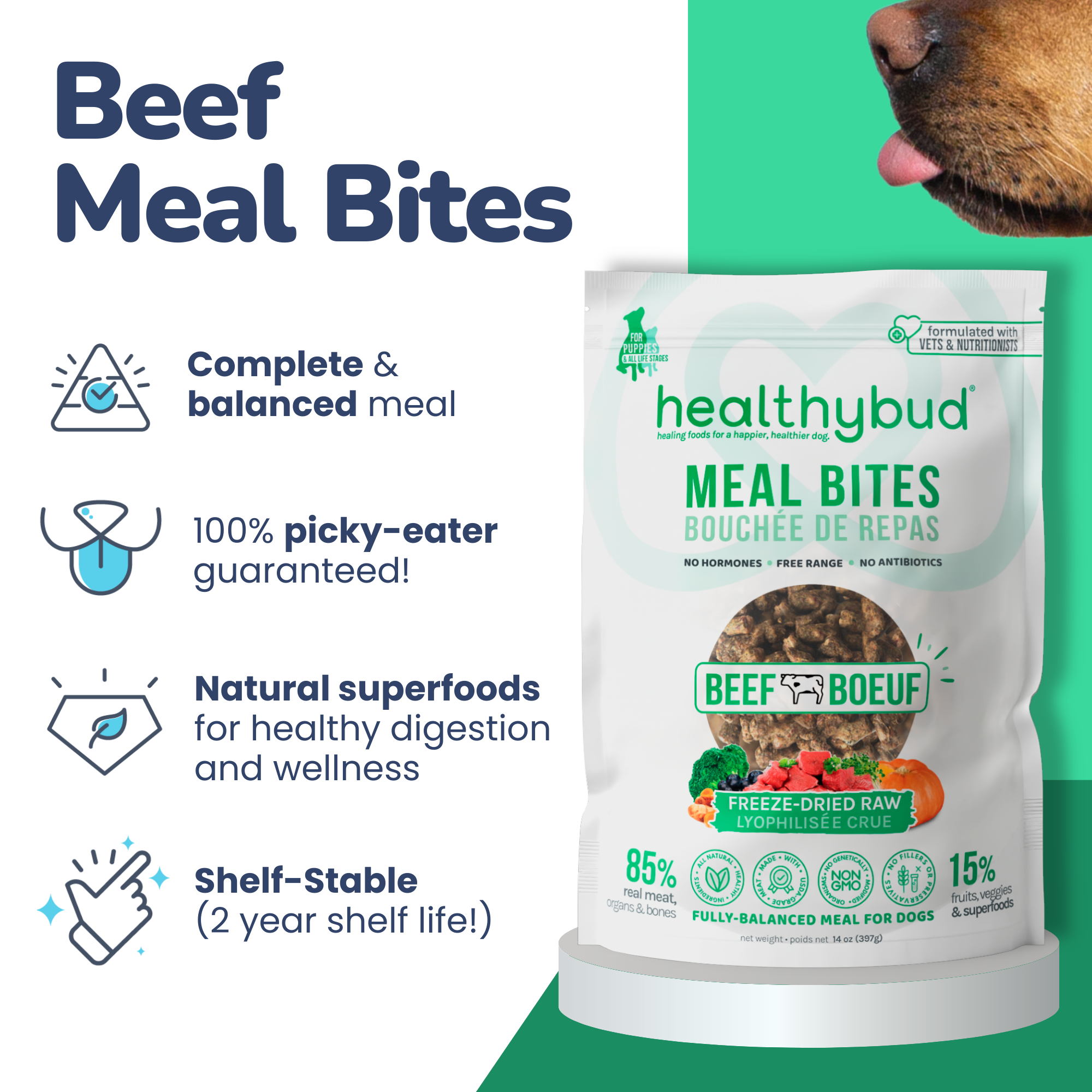 Healthybud - Wholesale Pet Food - Dog - Healthybud's Freeze-Dried Beef Meal Bites for Dogs3