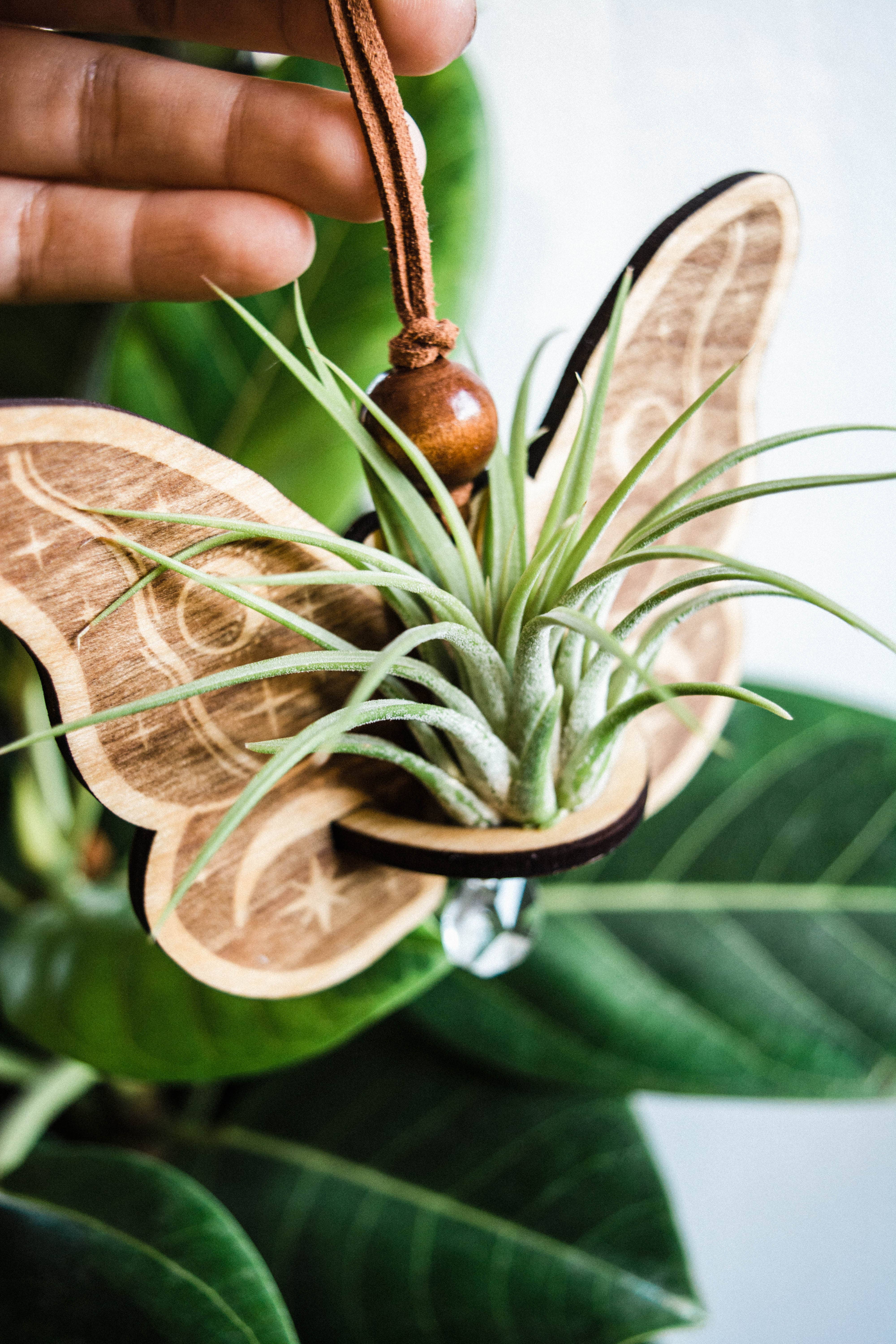 HEX Botanical - Wholesale Suncatcher - Celestial Moth Air Plant Hanger Suncatcher Crystal Prism 9