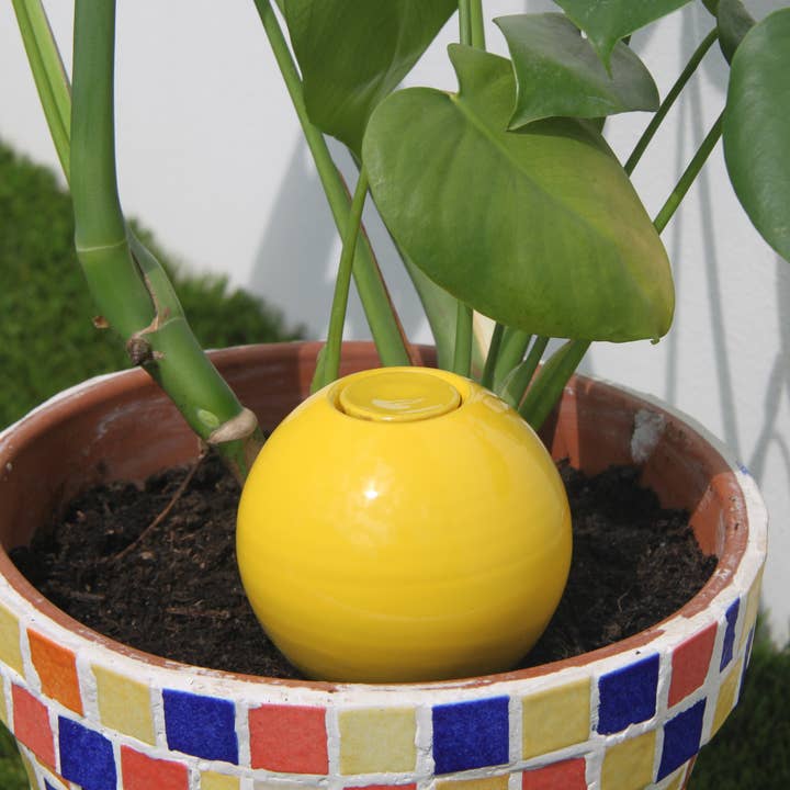 Poterie lutton - Wholesale Plant Pot - Ollas to plant medium14