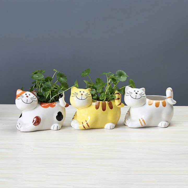 Succulent Ceramic Garden Pot Without Holes for wholesale by Rooted Treasures Farms