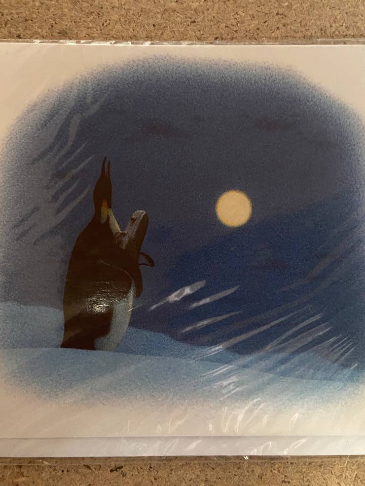 Biglietto di Auguri Inkognito 8057 per la vendita all'ingrosso da parte di Incognito