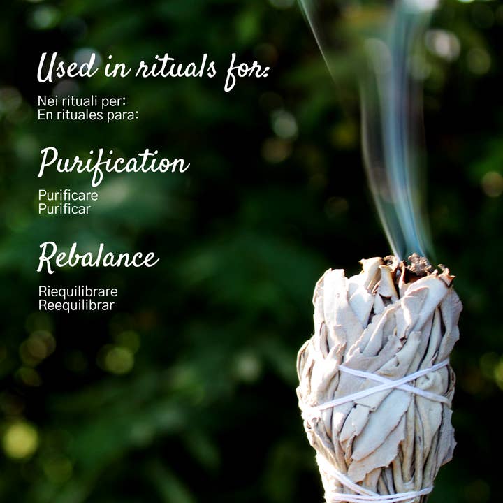 Herborea srl - Wholesale Sage Bundle - White Sage Smudge - 2 pcs2