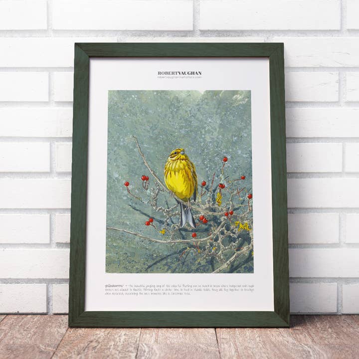 Signierter Druck Yellowhammer für den Großhandel von diademadisara