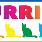 Magnet Pano PRIDE Purride for wholesale by Kalan