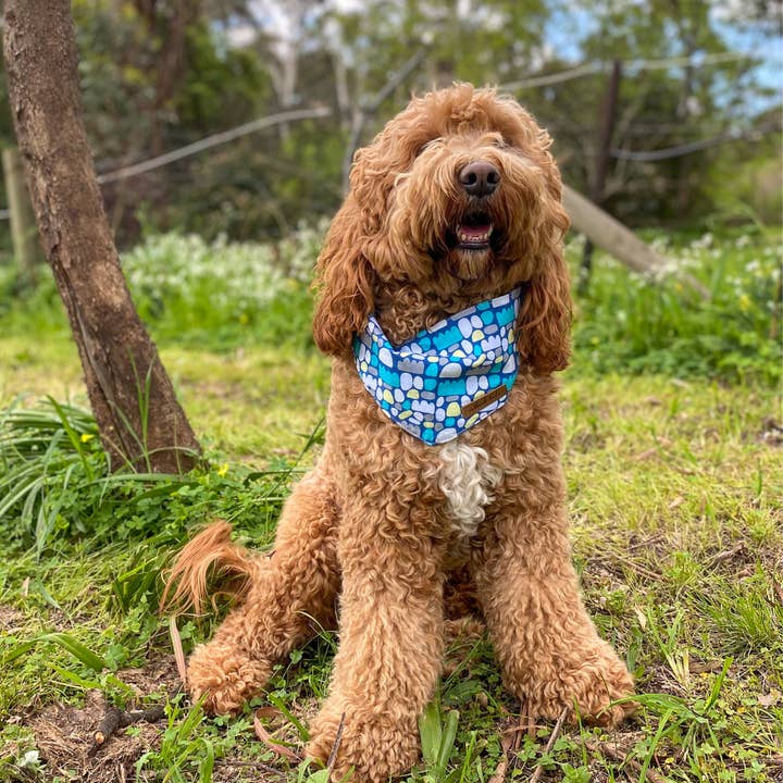 Outback Tails – wholesale Bandana - Hund – Hundbandana - Puli Puli (Blå)