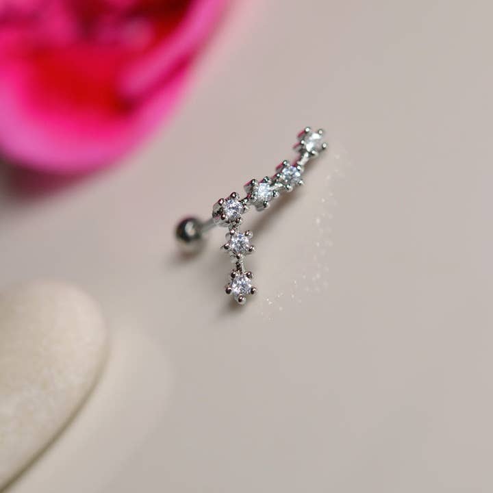 StockJWL - Wholesale Stud/Post Earrings - 12 Zodiac Earrings, Constellation Stud Earring Stud Piercing Tragus Helix Lobe and Cartilage Silver And Gold71