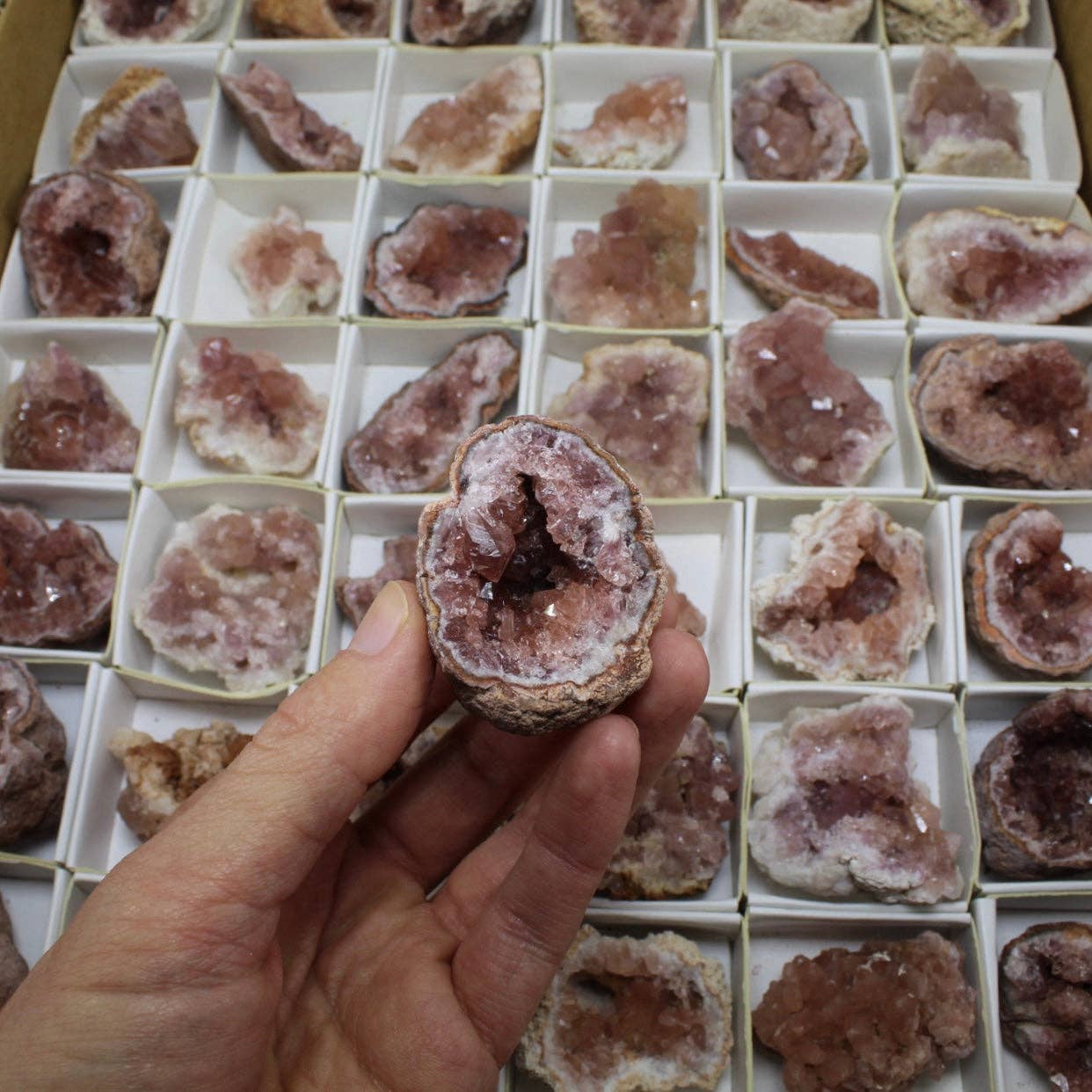 Quasar Gems USA - Wholesale Spiritual Stone/Crystal - Pink Amethyst Geodes Small Size1