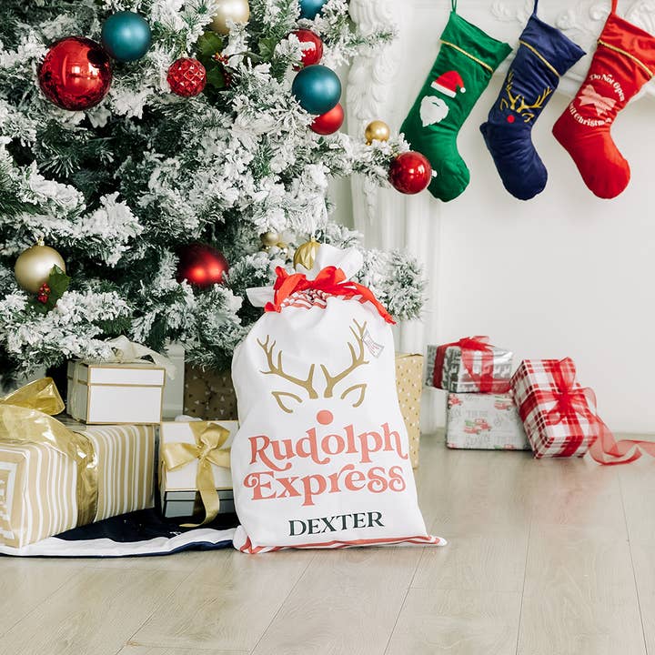 Weddingstar Inc. - Vendita all'ingrosso Sacchetti regalo - Grande sacco da Babbo Natale con coulisse per regali - Rudolph Express