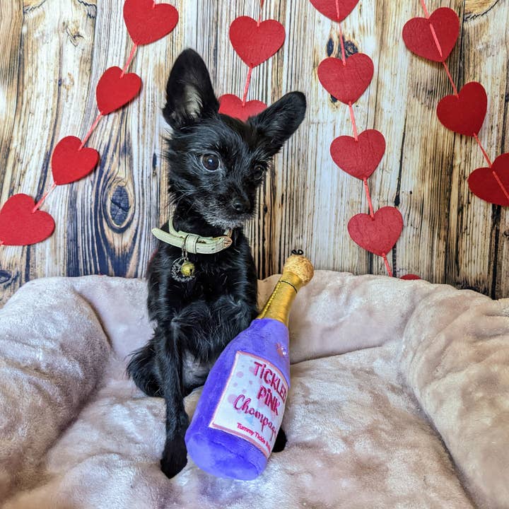 Huxley & Kent - Wholesale Pet Plush Toy - Dog - Tickled Pink Chompagne Dog Toy6