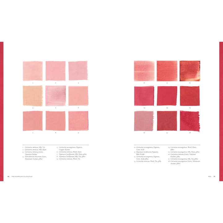 Chronicle Books - Wholesale Nature & Outdoors - Mushroom Color Atlas9