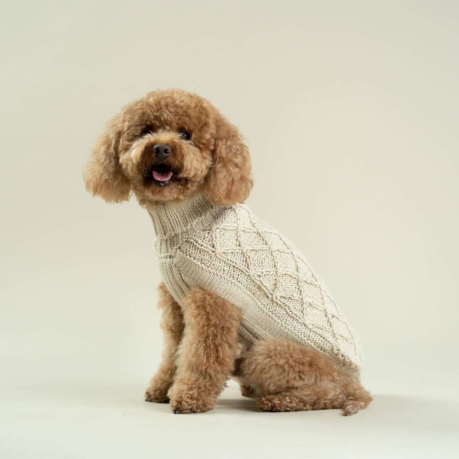 Alqo Wasi - Wholesale Pet Sweater - Dog - Diamond Knit Alpaca Dog Sweater Natural4