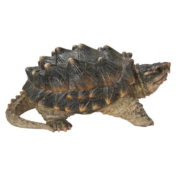 Hi-Line Gift Ltd. - Wholesale Decorative Figurine - Snapping Turtle Statue5
