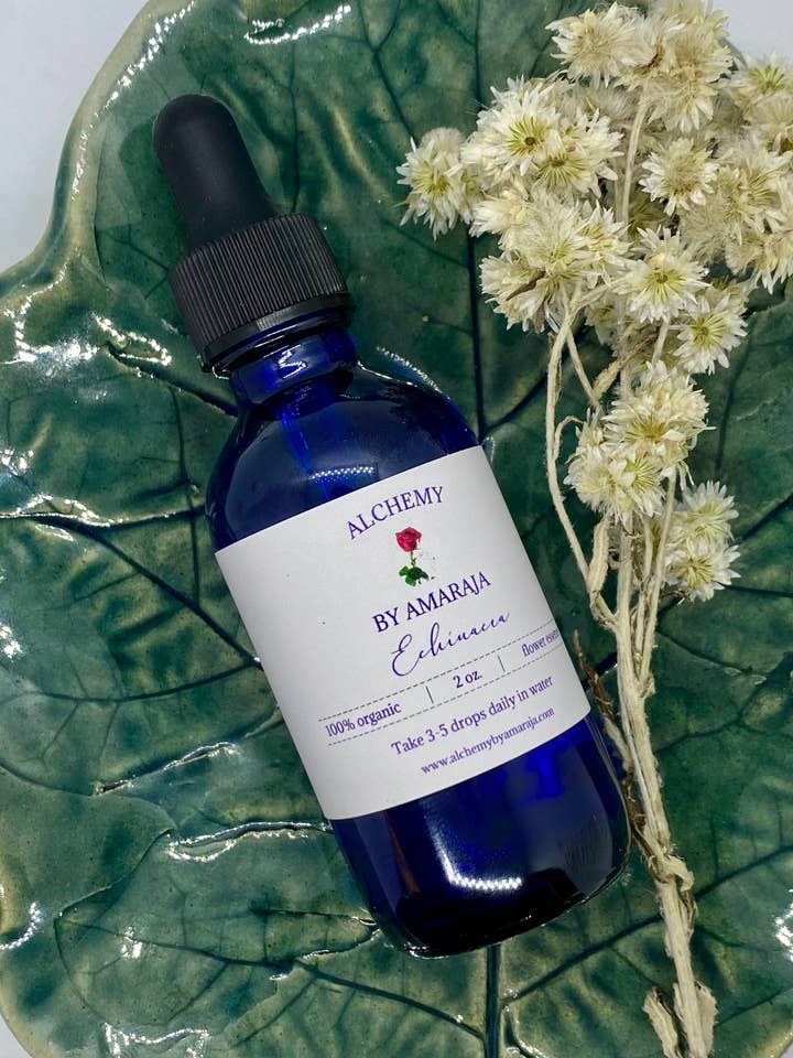 Essence de fleur d'échinacée 2oz pour la vente par Alchemy by Amaraja